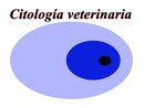 Citologia Veterinaria Logo